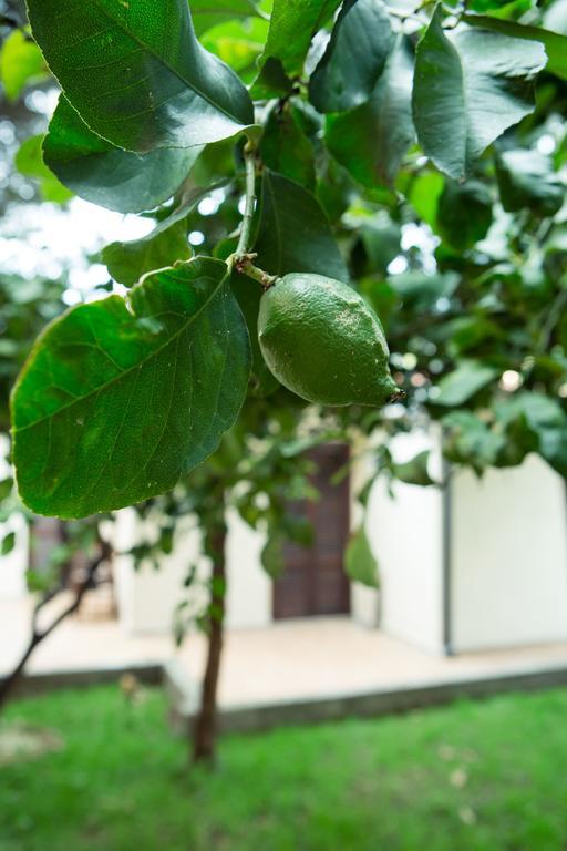 Villino Elda Bed and breakfast *